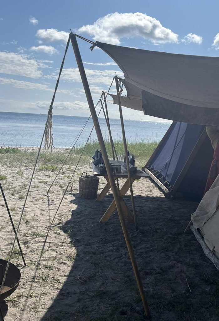 Vikinger på stranden